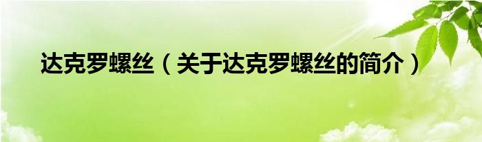 達克羅螺絲（關(guān)于達克羅螺絲的簡介）