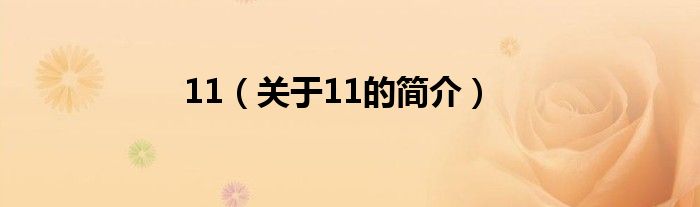 11（關(guān)于11的簡介）