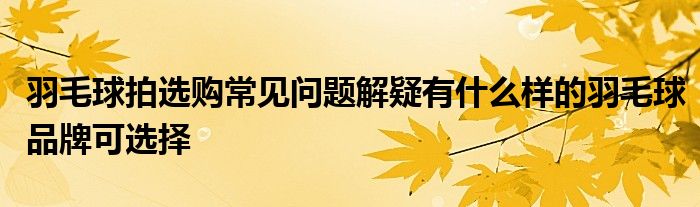 羽毛球拍選購(gòu)常見問題解疑有什么樣的羽毛球品牌可選擇