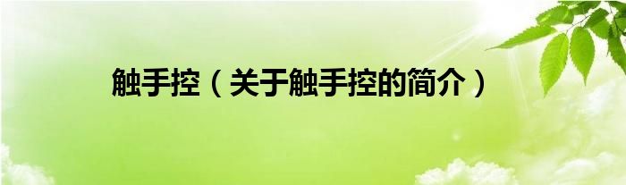 觸手控（關(guān)于觸手控的簡(jiǎn)介）