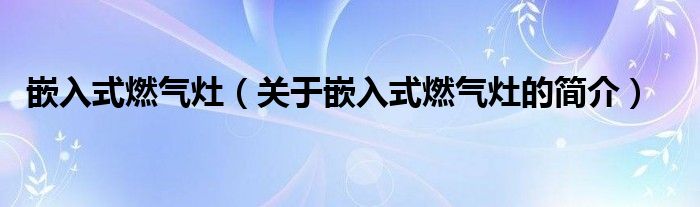 嵌入式燃?xì)庠睿P(guān)于嵌入式燃?xì)庠畹暮?jiǎn)介）