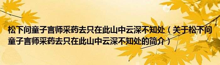 松下問(wèn)童子言師采藥去只在此山中云深不知處（關(guān)于松下問(wèn)童子言師采藥去只在此山中云深不知處的簡(jiǎn)介）