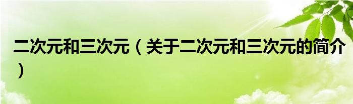 二次元和三次元（關(guān)于二次元和三次元的簡(jiǎn)介）