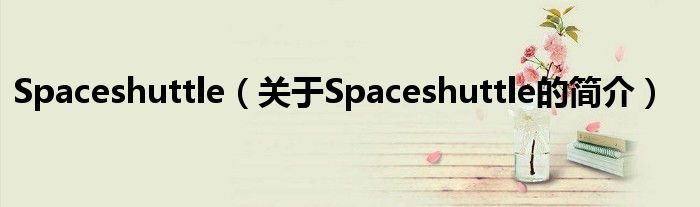 Spaceshuttle（關于Spaceshuttle的簡介）