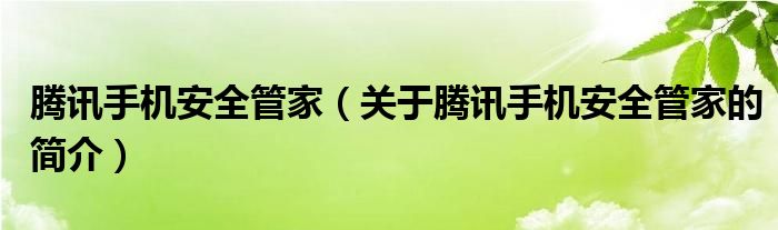 騰訊手機安全管家（關于騰訊手機安全管家的簡介）