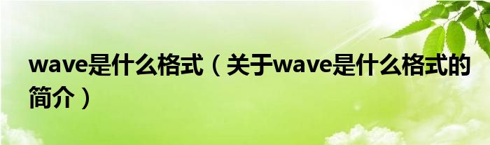 wave是什么格式（關(guān)于wave是什么格式的簡介）