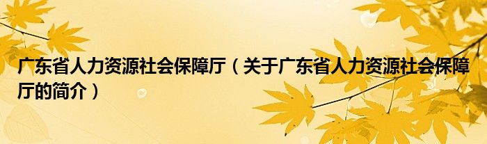 廣東省人力資源社會保障廳（關(guān)于廣東省人力資源社會保障廳的簡介）