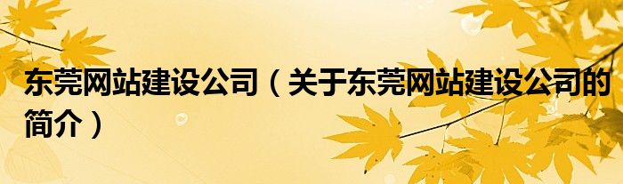 東莞網(wǎng)站建設公司（關于東莞網(wǎng)站建設公司的簡介）