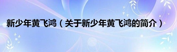 新少年黃飛鴻（關(guān)于新少年黃飛鴻的簡介）