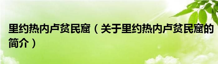 里約熱內(nèi)盧貧民窟（關(guān)于里約熱內(nèi)盧貧民窟的簡介）