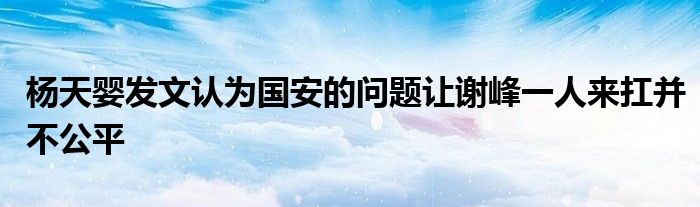 楊天嬰發(fā)文認為國安的問題讓謝峰一人來扛并不公平