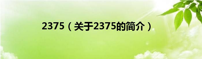 2375（關(guān)于2375的簡(jiǎn)介）