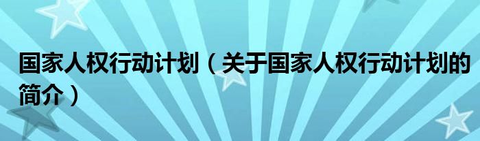 國家人權(quán)行動計劃（關(guān)于國家人權(quán)行動計劃的簡介）