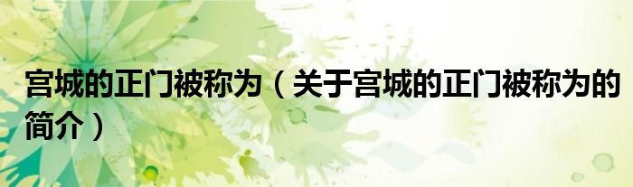 宮城的正門被稱為（關于宮城的正門被稱為的簡介）