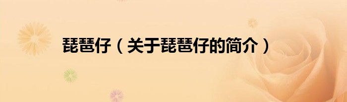 琵琶仔（關(guān)于琵琶仔的簡介）