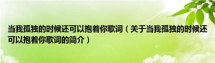 當我孤獨的時候還可以抱著你歌詞（關(guān)于當我孤獨的時候還可以抱著你歌詞的簡介）