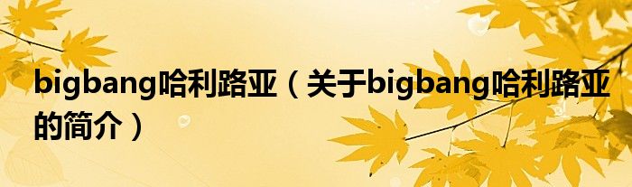 bigbang哈利路亞（關(guān)于bigbang哈利路亞的簡(jiǎn)介）