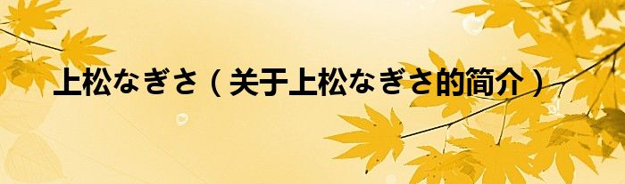 上松なぎさ（關(guān)于上松なぎさ的簡介）