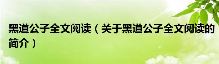 黑道公子全文閱讀（關(guān)于黑道公子全文閱讀的簡介）