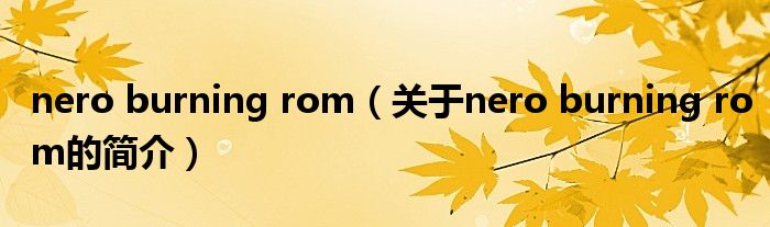 nero burning rom（關(guān)于nero burning rom的簡(jiǎn)介）