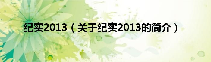 紀實2013（關(guān)于紀實2013的簡介）