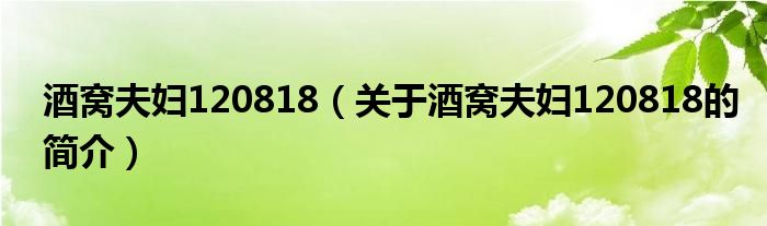 酒窩夫婦120818（關于酒窩夫婦120818的簡介）