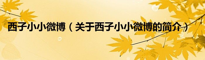 西子小小微博（關(guān)于西子小小微博的簡(jiǎn)介）