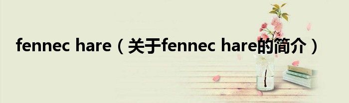 fennec hare（關(guān)于fennec hare的簡介）