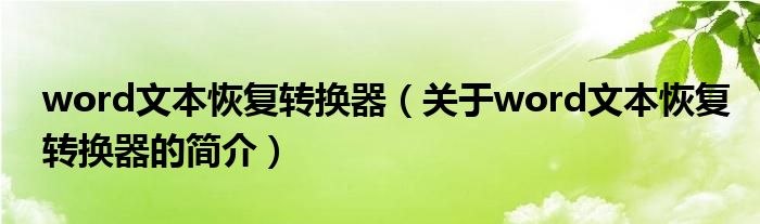 word文本恢復(fù)轉(zhuǎn)換器（關(guān)于word文本恢復(fù)轉(zhuǎn)換器的簡(jiǎn)介）