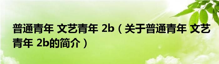 普通青年 文藝青年 2b（關(guān)于普通青年 文藝青年 2b的簡(jiǎn)介）