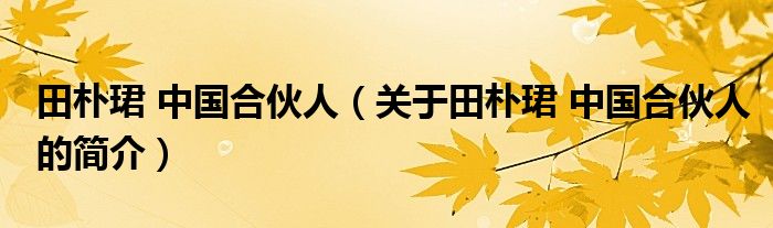 田樸珺 中國合伙人（關(guān)于田樸珺 中國合伙人的簡介）