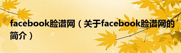 facebook臉譜網(wǎng)（關(guān)于facebook臉譜網(wǎng)的簡介）