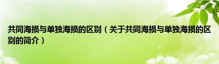 共同海損與單獨(dú)海損的區(qū)別（關(guān)于共同海損與單獨(dú)海損的區(qū)別的簡介）