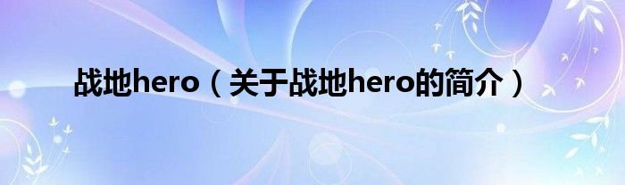 戰(zhàn)地hero（關于戰(zhàn)地hero的簡介）