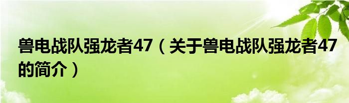 獸電戰(zhàn)隊強龍者47（關于獸電戰(zhàn)隊強龍者47的簡介）