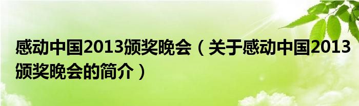 感動(dòng)中國(guó)2013頒獎(jiǎng)晚會(huì)（關(guān)于感動(dòng)中國(guó)2013頒獎(jiǎng)晚會(huì)的簡(jiǎn)介）