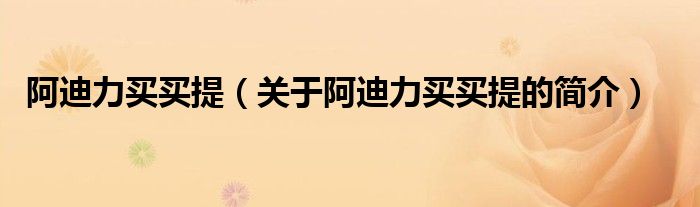 阿迪力買(mǎi)買(mǎi)提（關(guān)于阿迪力買(mǎi)買(mǎi)提的簡(jiǎn)介）