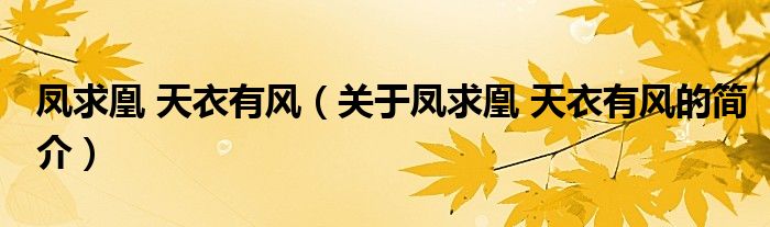 鳳求凰 天衣有風(fēng)（關(guān)于鳳求凰 天衣有風(fēng)的簡(jiǎn)介）