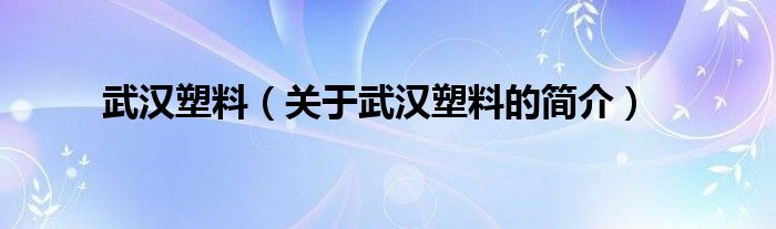 武漢塑料（關(guān)于武漢塑料的簡介）