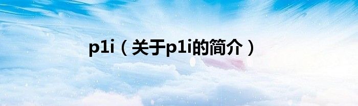 p1i（關(guān)于p1i的簡(jiǎn)介）