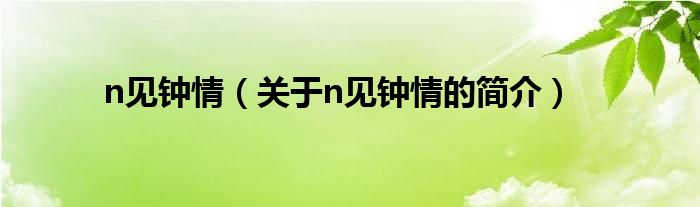 n見鐘情（關(guān)于n見鐘情的簡(jiǎn)介）