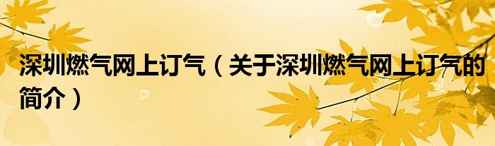 深圳燃氣網(wǎng)上訂氣（關(guān)于深圳燃氣網(wǎng)上訂氣的簡介）