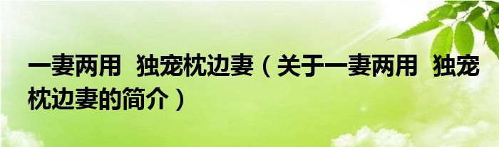 一妻兩用  獨(dú)寵枕邊妻（關(guān)于一妻兩用  獨(dú)寵枕邊妻的簡介）