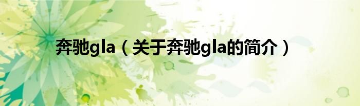 奔馳gla（關(guān)于奔馳gla的簡(jiǎn)介）