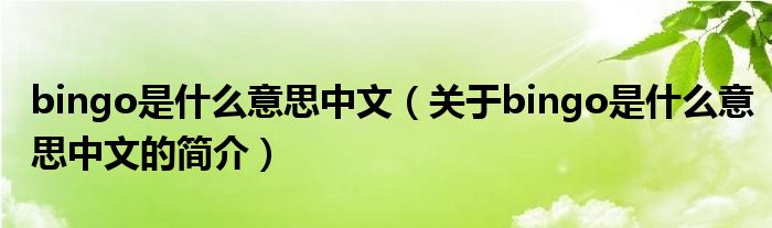 bingo是什么意思中文（關(guān)于bingo是什么意思中文的簡介）