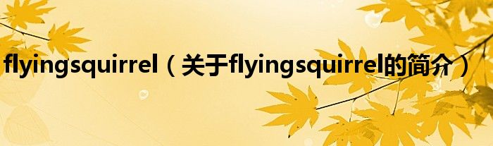 flyingsquirrel（關(guān)于flyingsquirrel的簡(jiǎn)介）