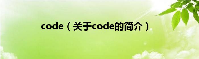 code（關(guān)于code的簡介）