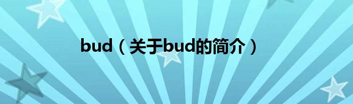 bud（關(guān)于bud的簡介）