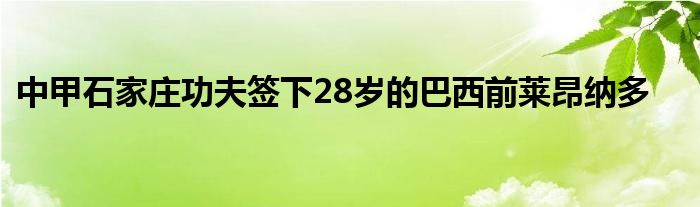 中甲石家莊功夫簽下28歲的巴西前萊昂納多