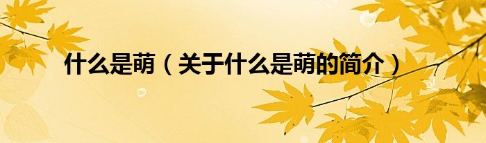 什么是萌（關(guān)于什么是萌的簡(jiǎn)介）